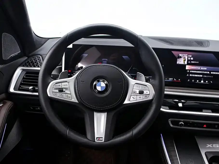 BMW X5 — фото 10