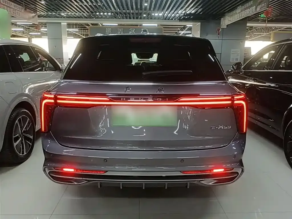 Hongqi E-HS9 — фото 9
