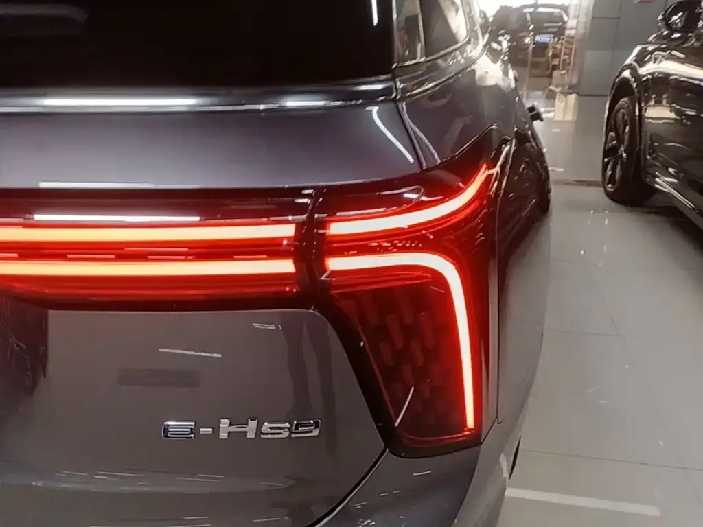 Hongqi E-HS9 — фото 2