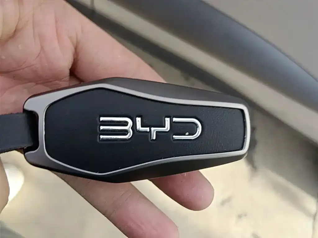 BYD Hiace 06 — фото 2