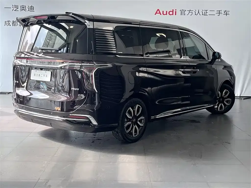 Hongqi HQ9 — фото 3