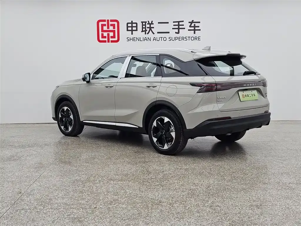 Haval Xiaolong MAX — фото 9
