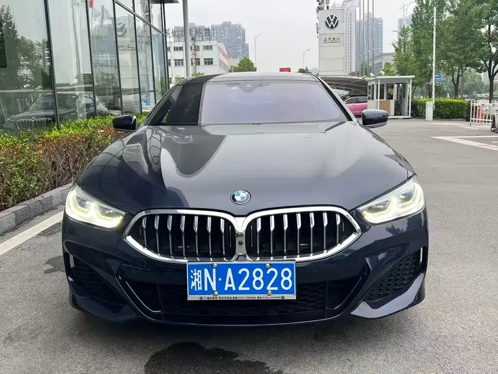 BMW 8 Series — фото 9