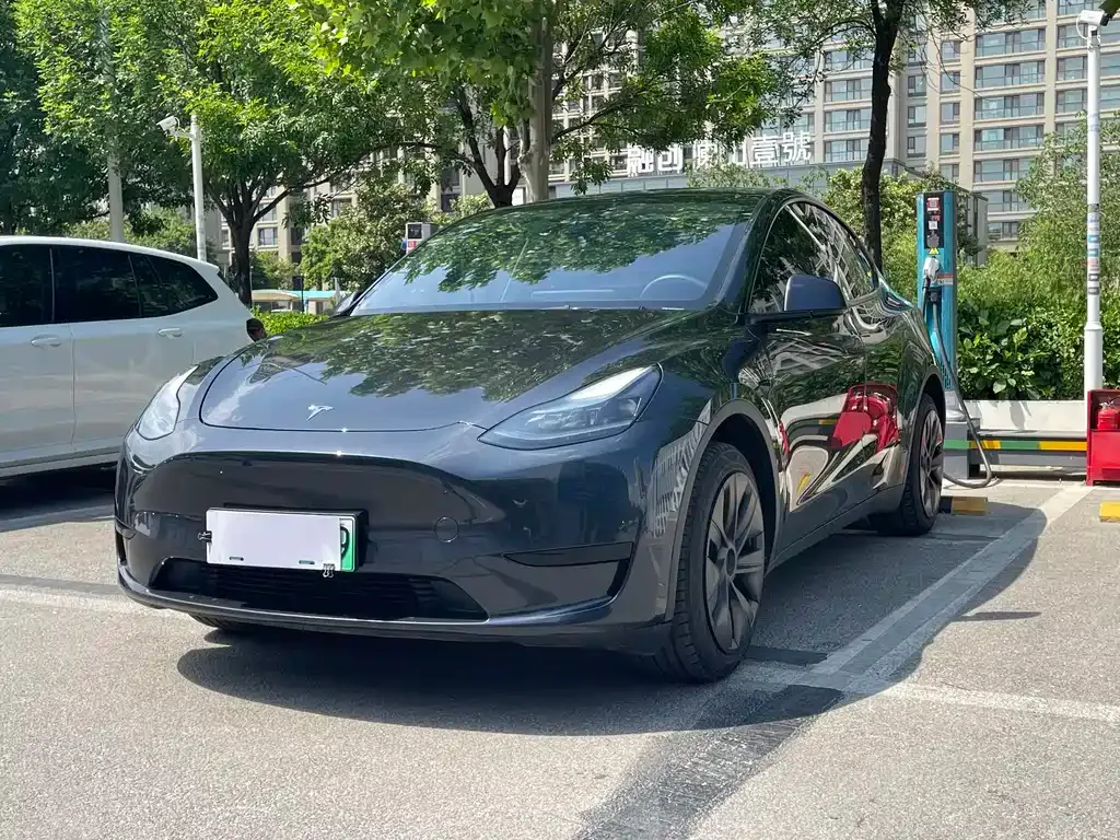 Tesla Model Y — фото 1