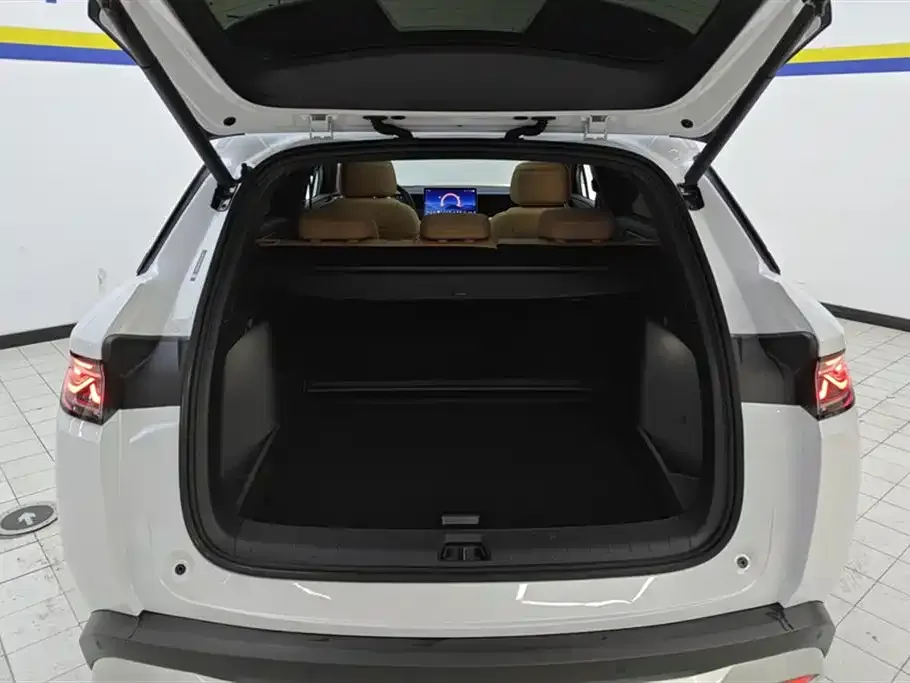 BYD L DM-i — фото 3