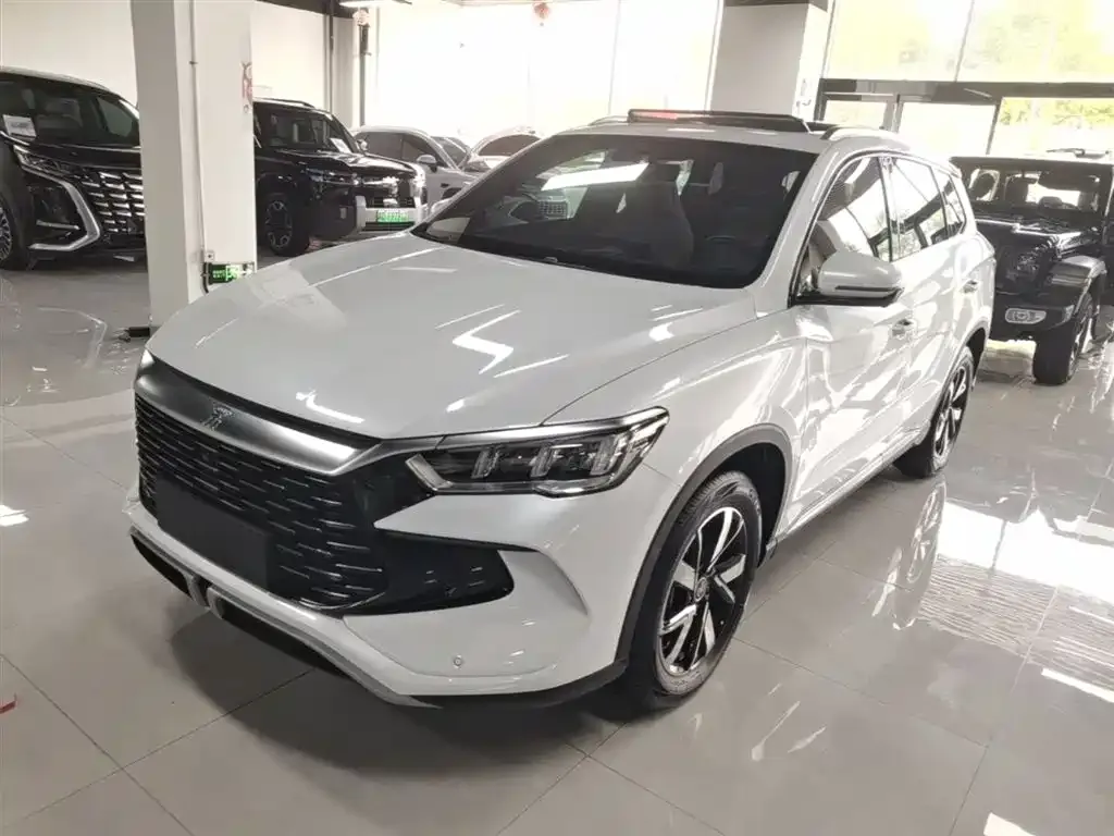 BYD Pro New Energy — фото 1