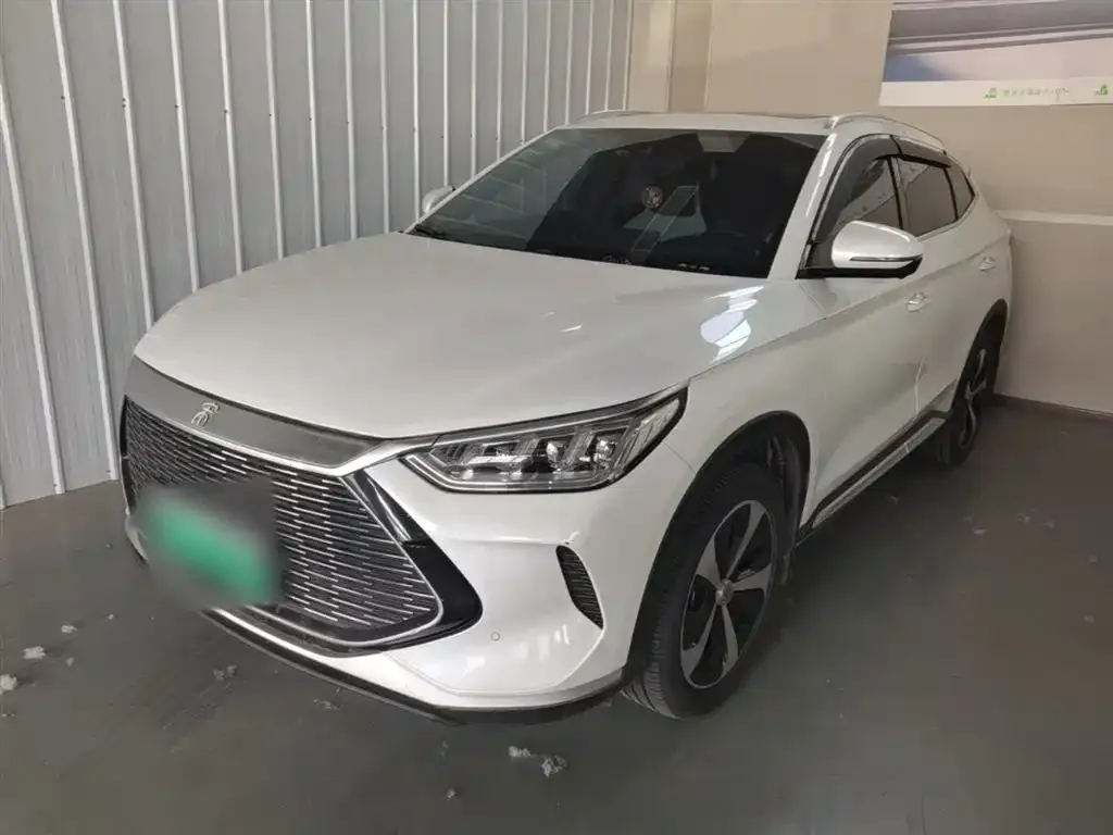 BYD PLUS New Energy — фото 1