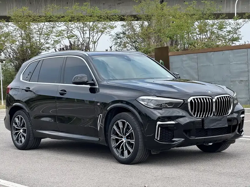 BMW X5 — фото 5