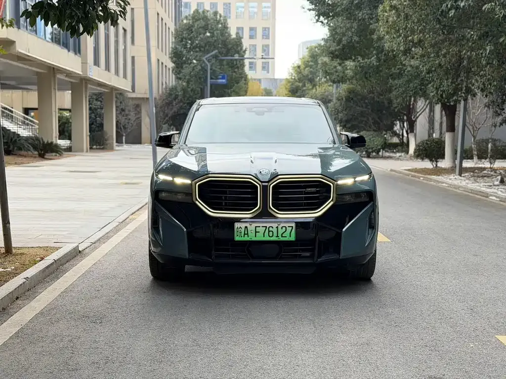 BMW XM — фото 6