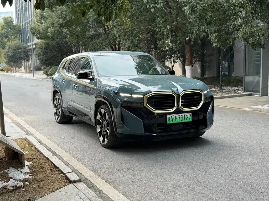 BMW XM — фото 9