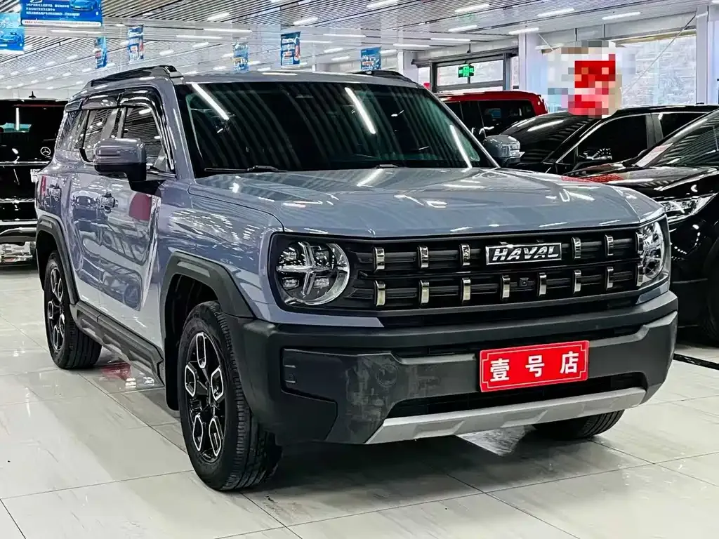 Haval Cool Dog — фото 10