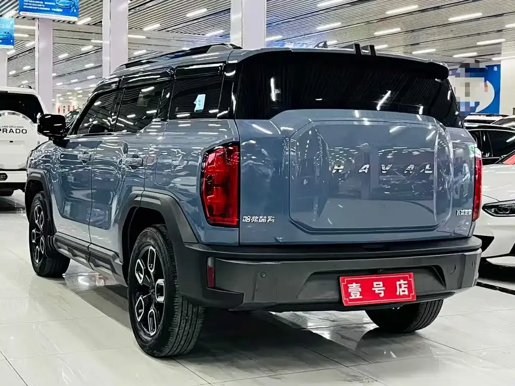 Haval Cool Dog — фото 6
