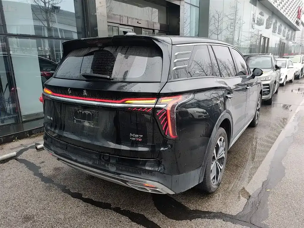 Hongqi HS7 — фото 10