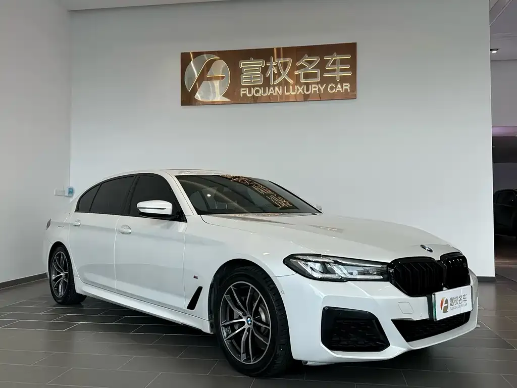 BMW 5 Series New Energy — фото 5