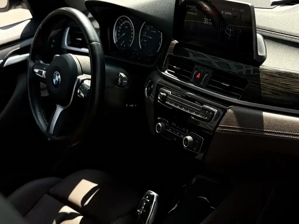 BMW X1 — фото 4