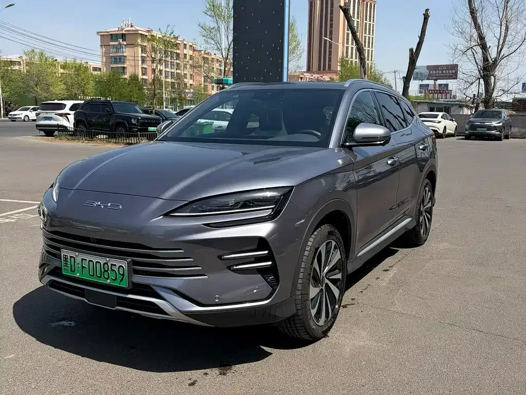 BYD PLUS New Energy — фото 1