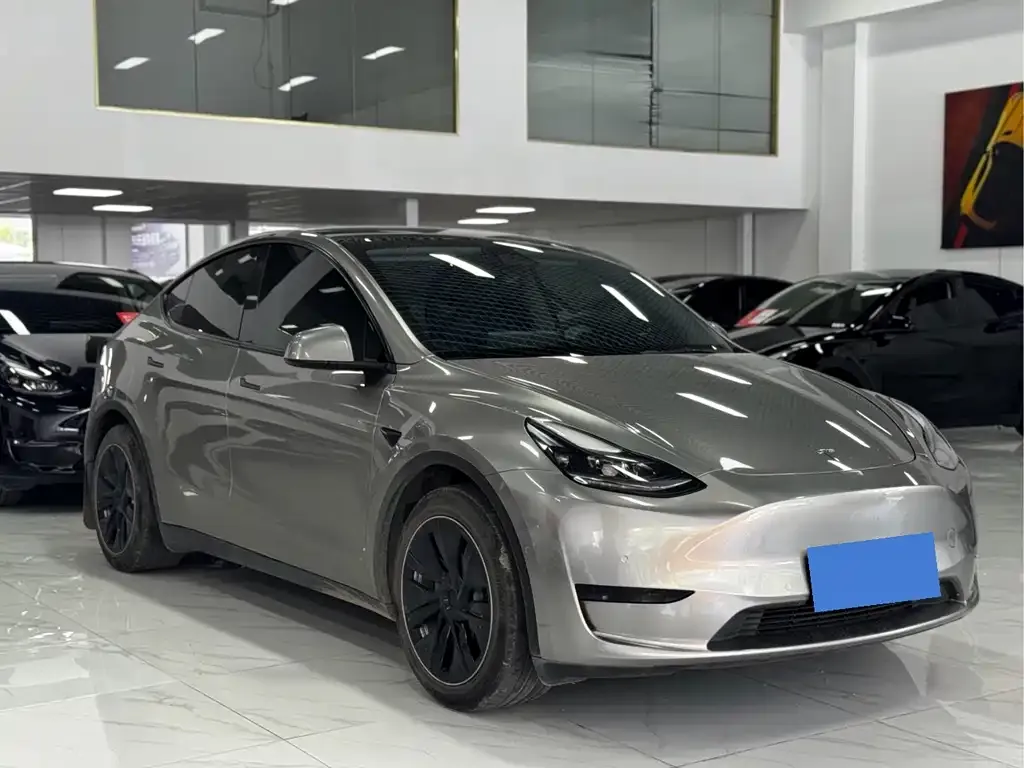 Tesla Model Y — фото 10