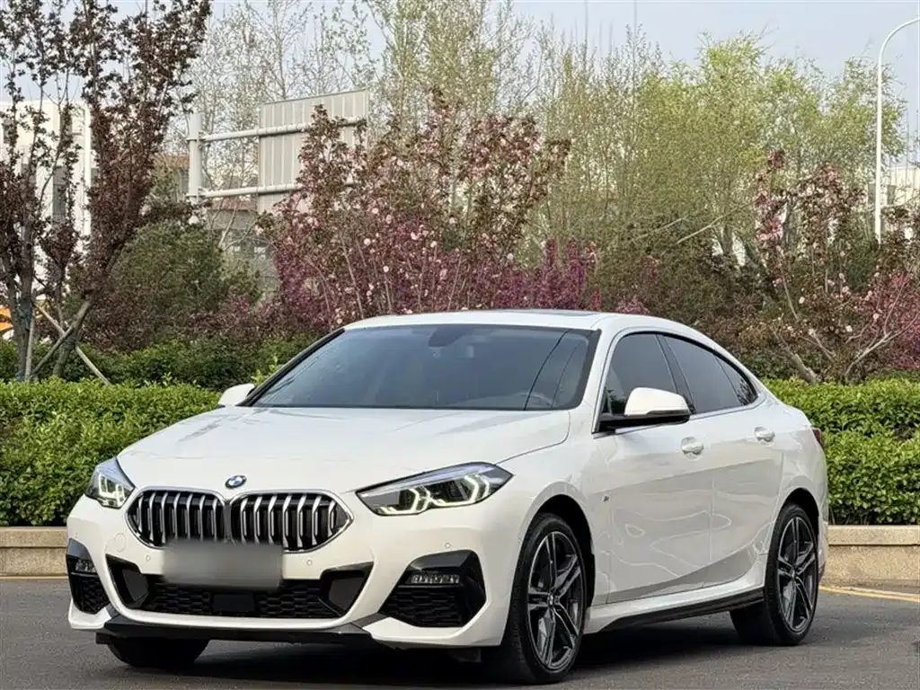 BMW 2 Series (Import) — фото 1