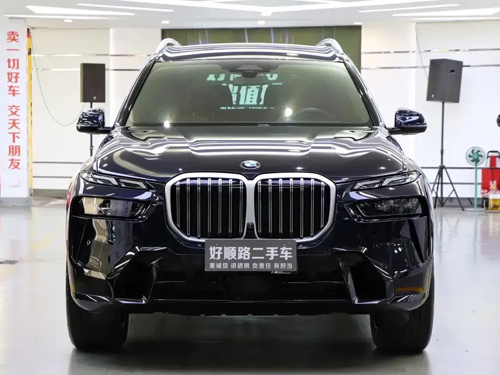 BMW X7 — фото 8