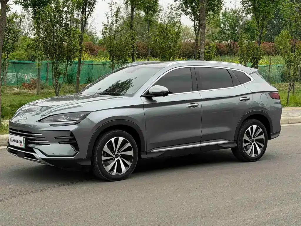 BYD PLUS New Energy — фото 1