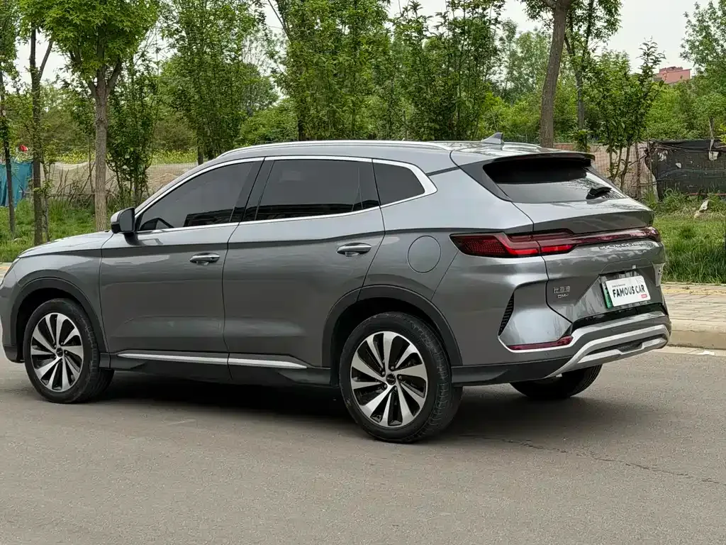 BYD PLUS New Energy — фото 8