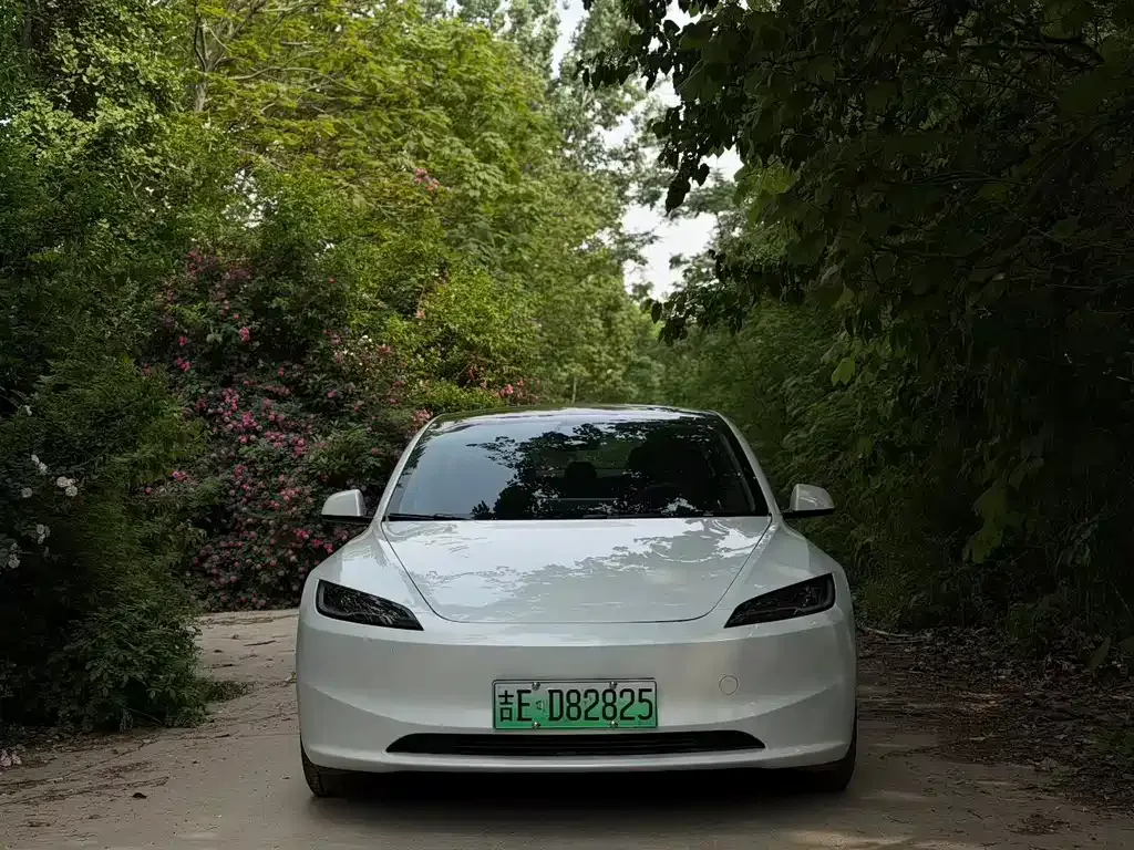 Tesla Model 3 — фото 1