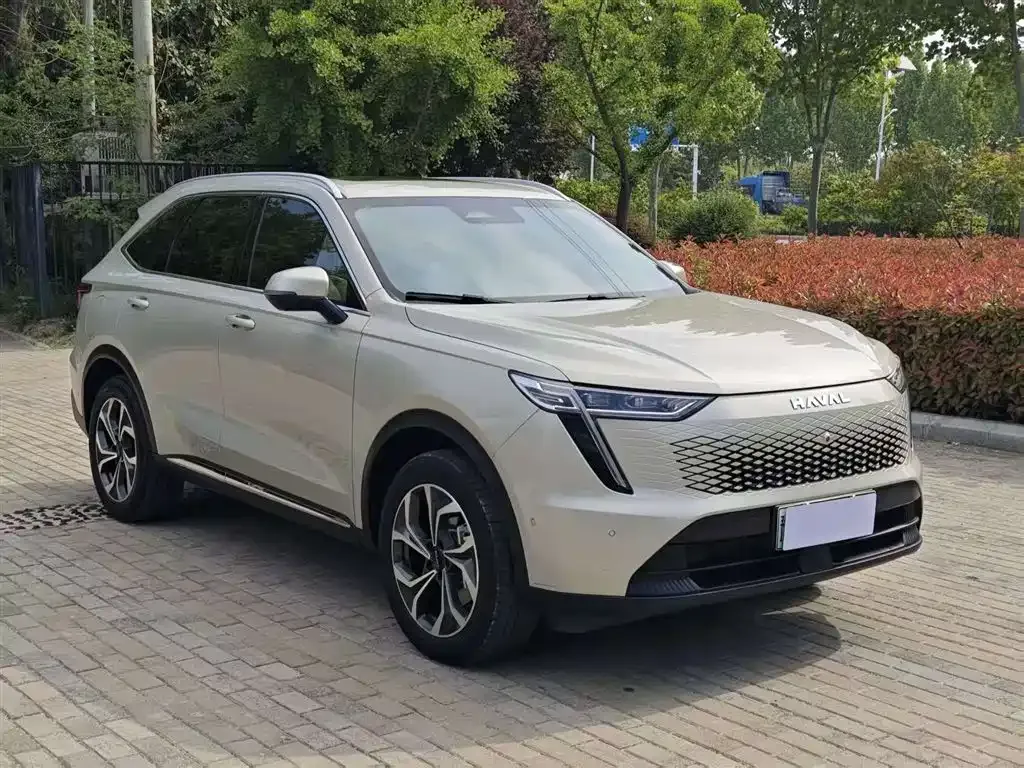 Haval Xiaolong MAX — фото 6