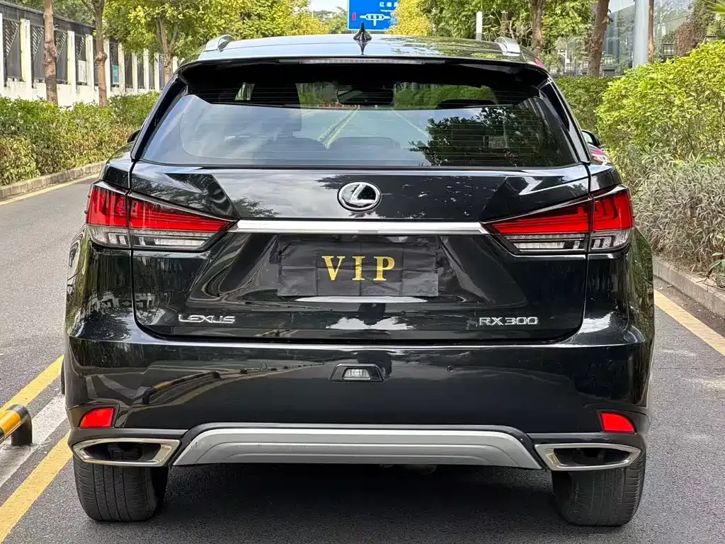 Lexus RX — фото 5