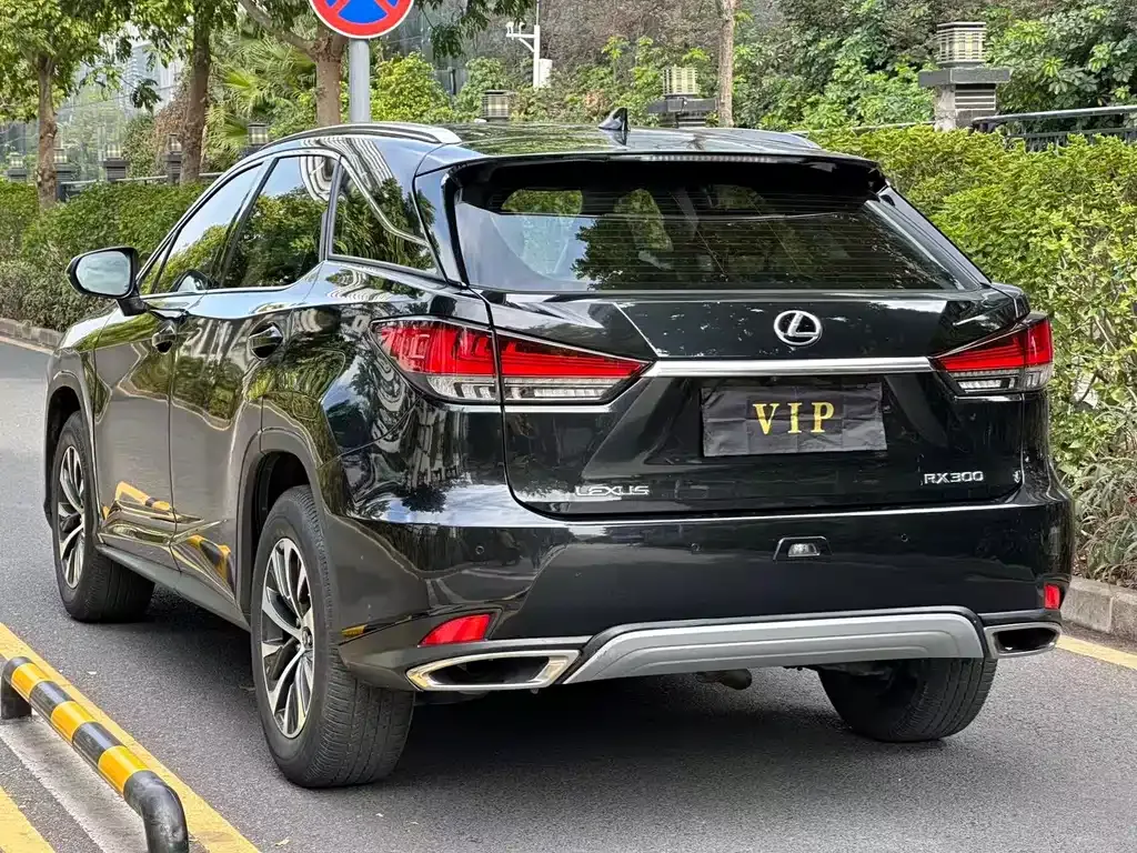 Lexus RX — фото 8