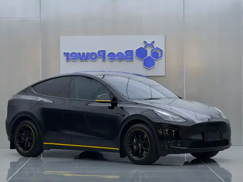 Tesla Model Y — фото 1