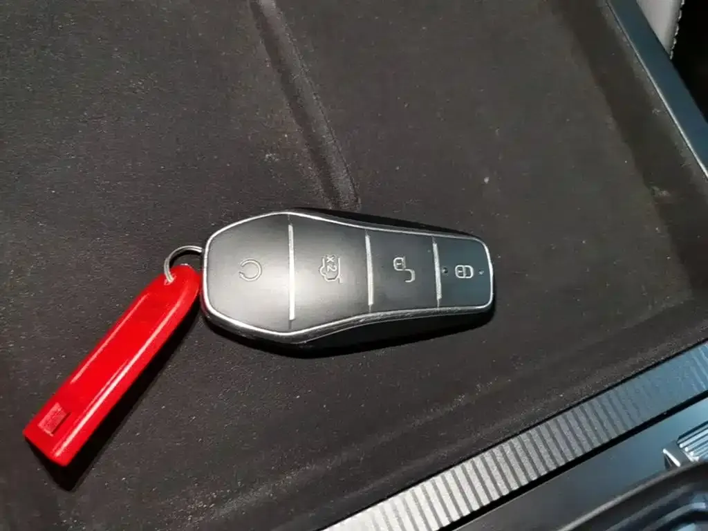 BYD L DM-i — фото 6
