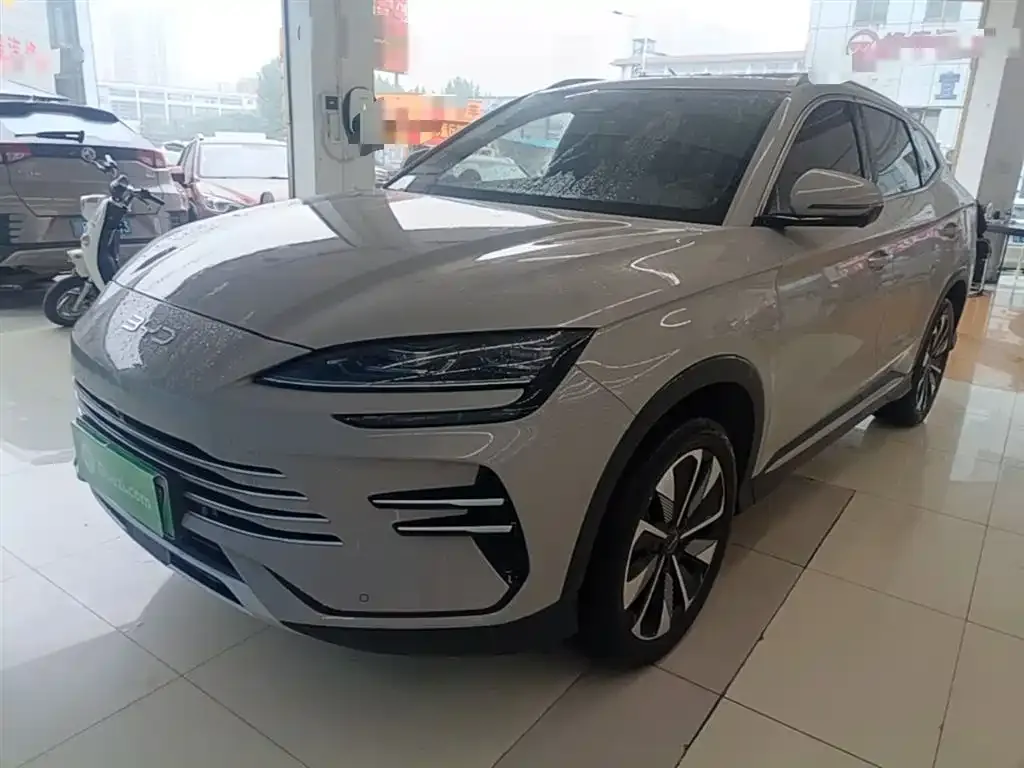 BYD PLUS New Energy — фото 1