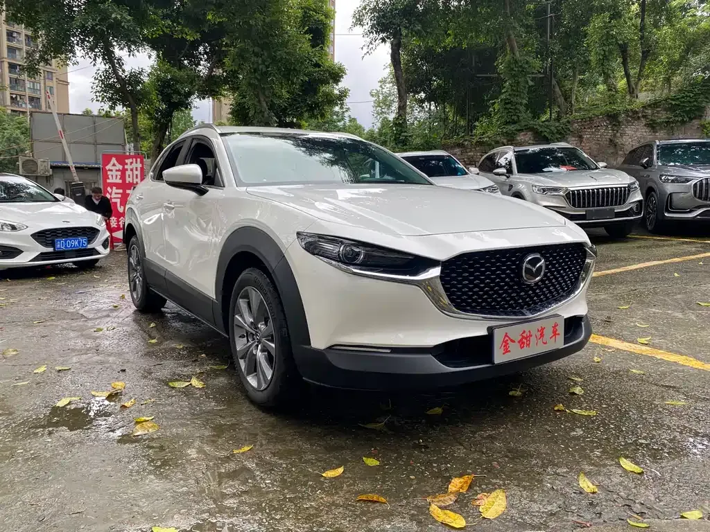 Mazda CX-30 — фото 9