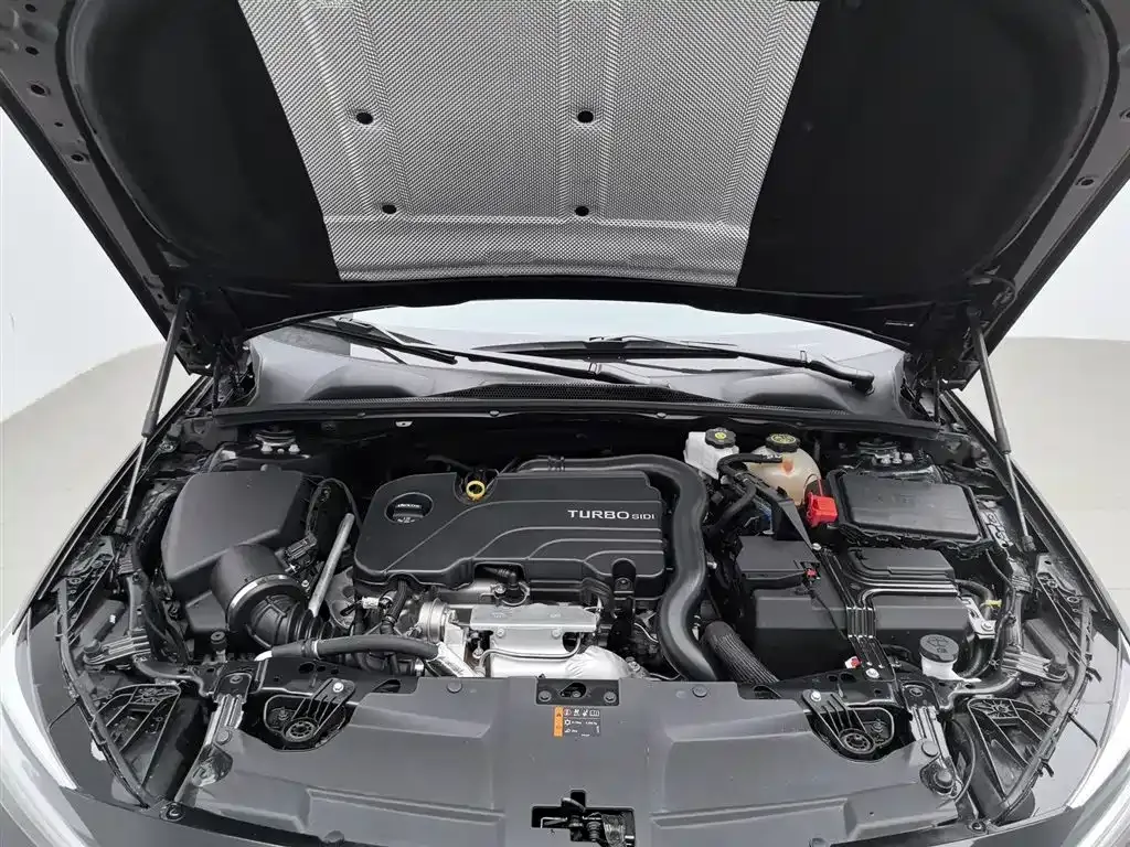 Buick Regal — фото 10