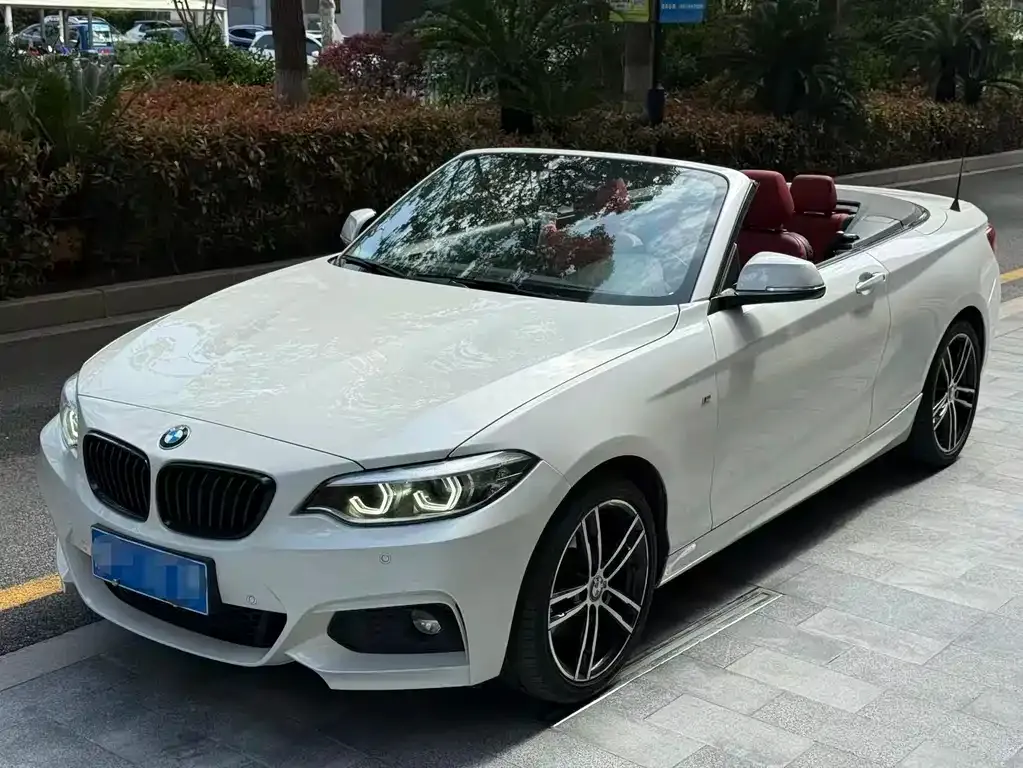 BMW 2 Series (Import) — фото 1