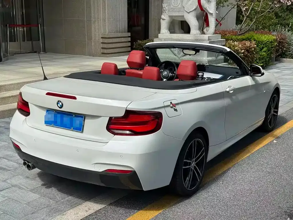 BMW 2 Series (Import) — фото 8