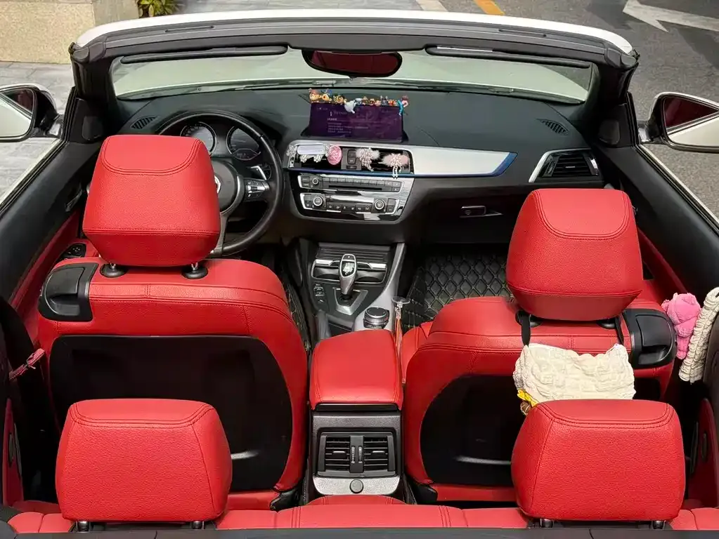 BMW 2 Series (Import) — фото 6