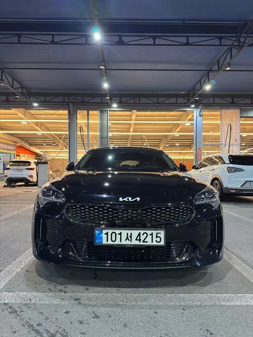 Kia Stinger — фото 10