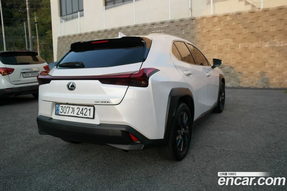 Lexus UX — фото 10