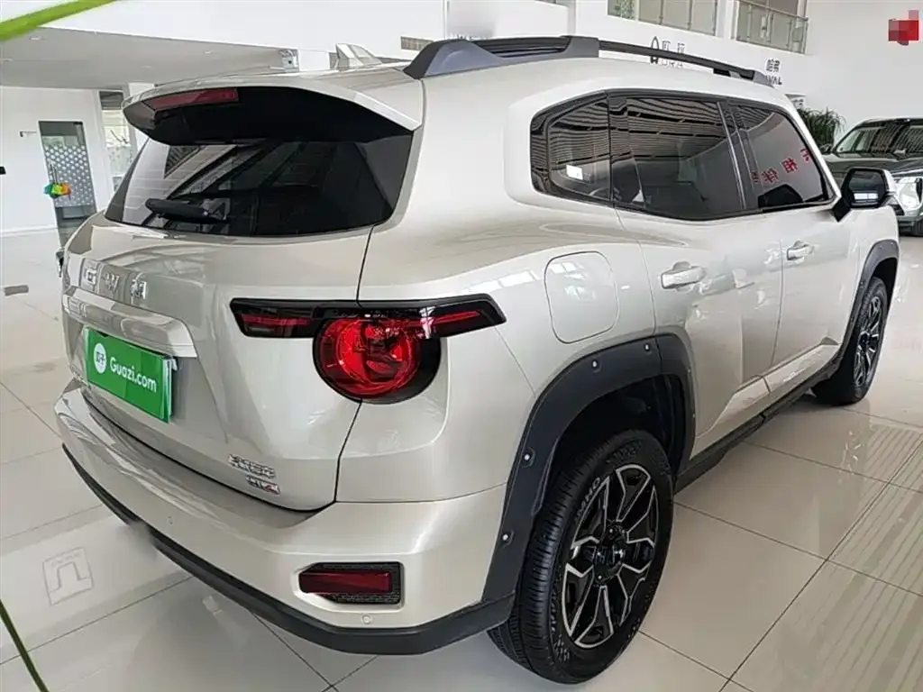 Haval H7 (Big Dog Plus) New Energy — фото 8