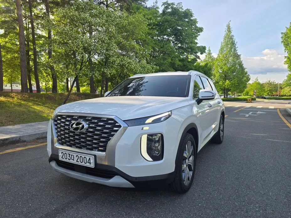 Hyundai Palisade — фото 1