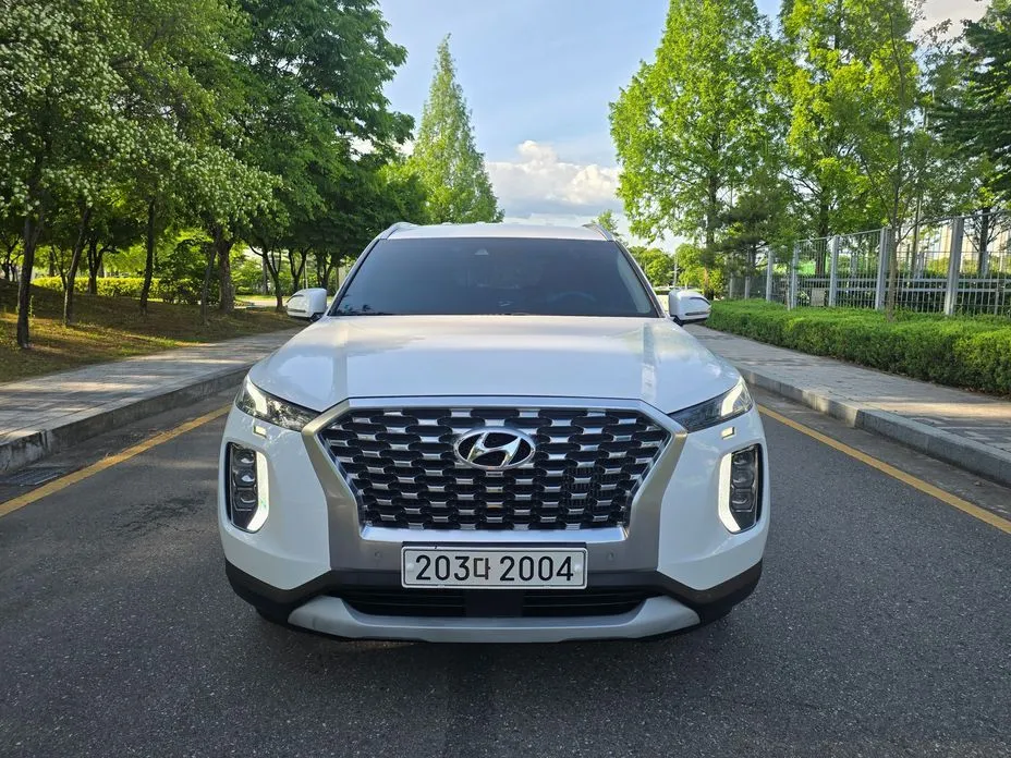 Hyundai Palisade — фото 10