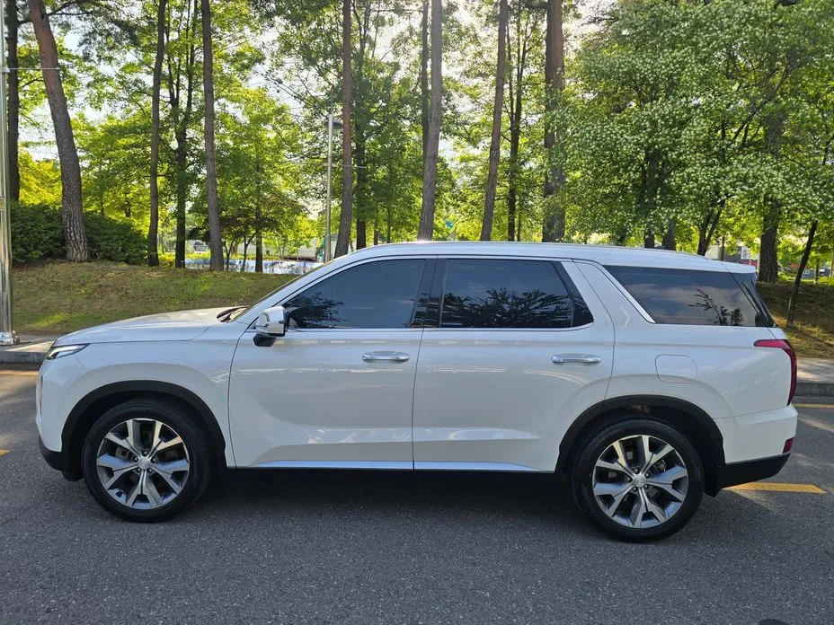 Hyundai Palisade — фото 9