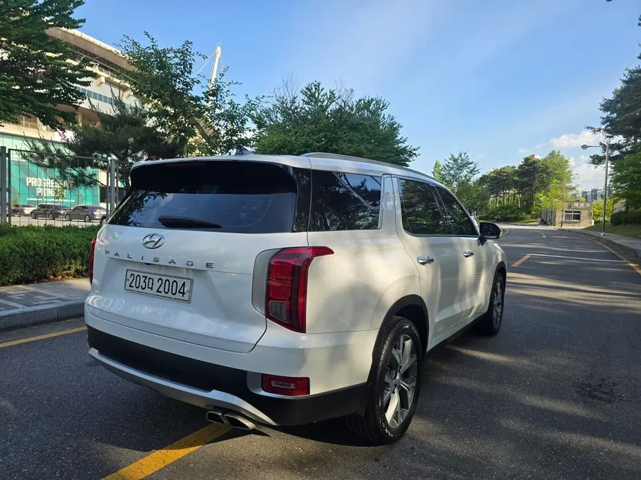 Hyundai Palisade — фото 7