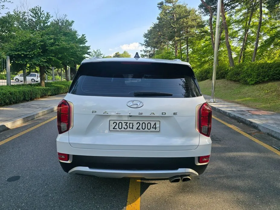 Hyundai Palisade — фото 6