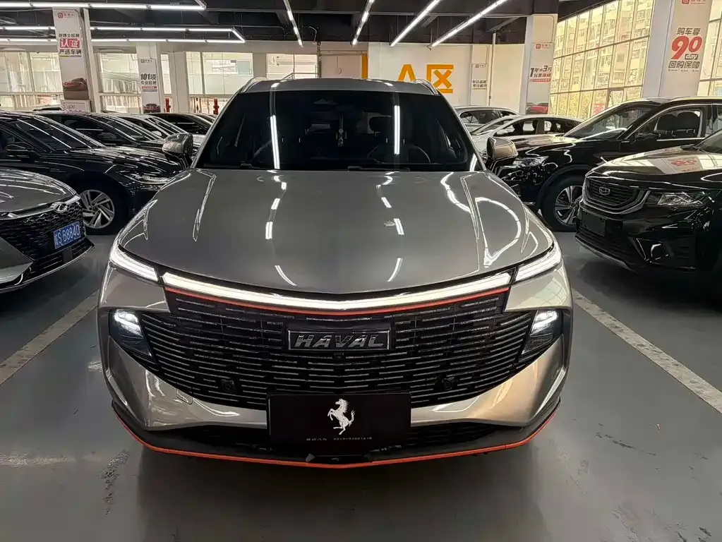 Haval Shenshou — фото 10