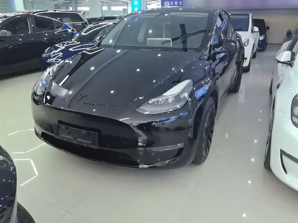 Tesla Model Y — фото 1