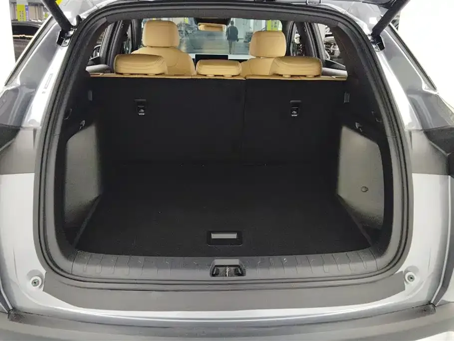 BYD L DM-i — фото 3