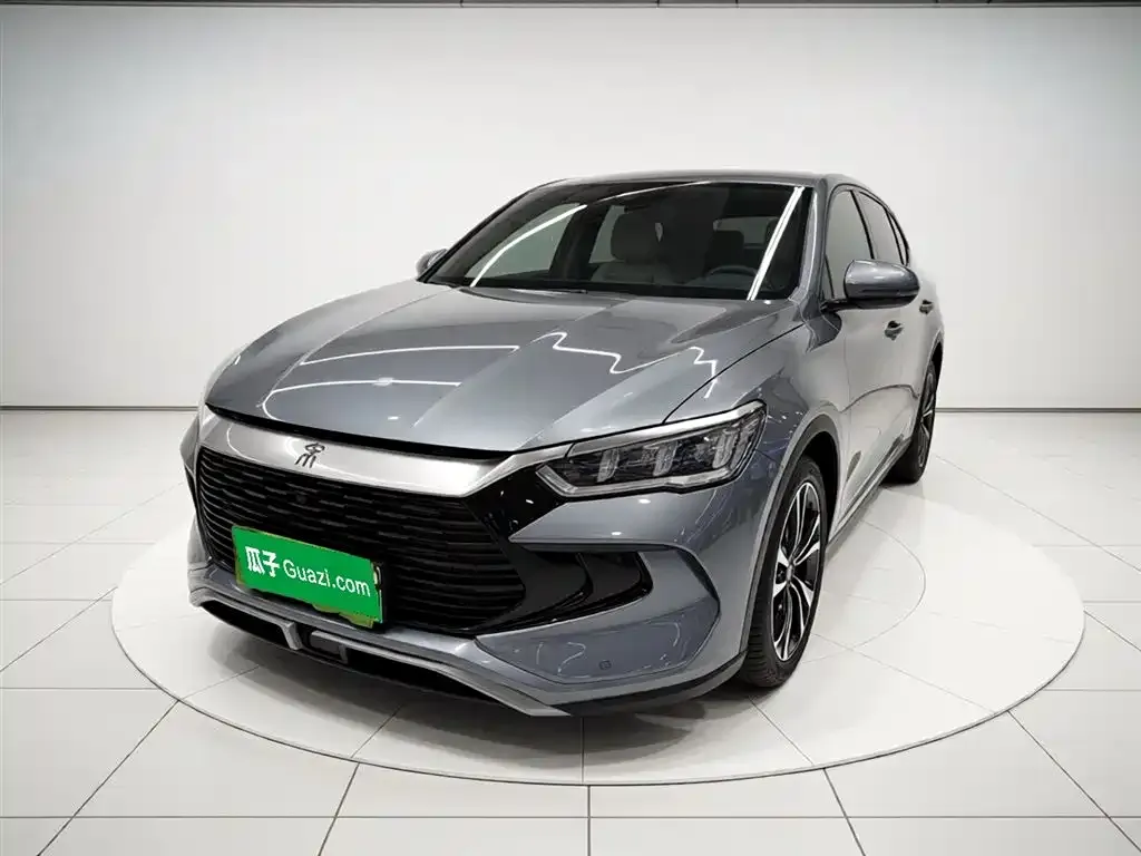 BYD Pro New Energy — фото 1