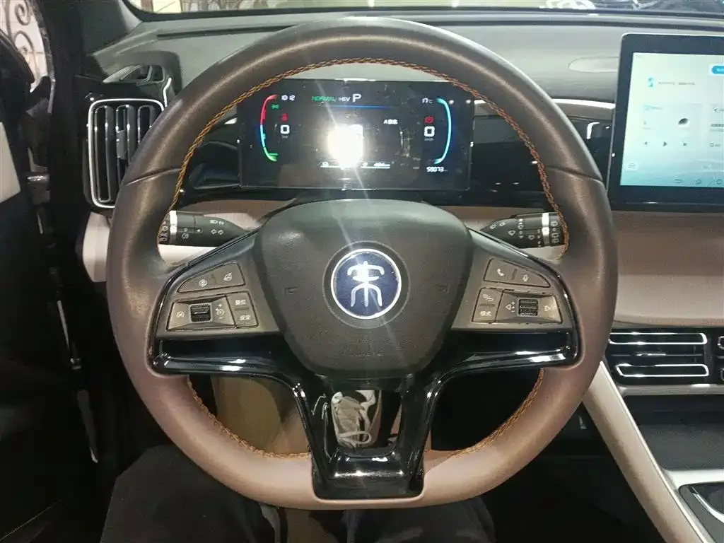 BYD Pro New Energy — фото 9